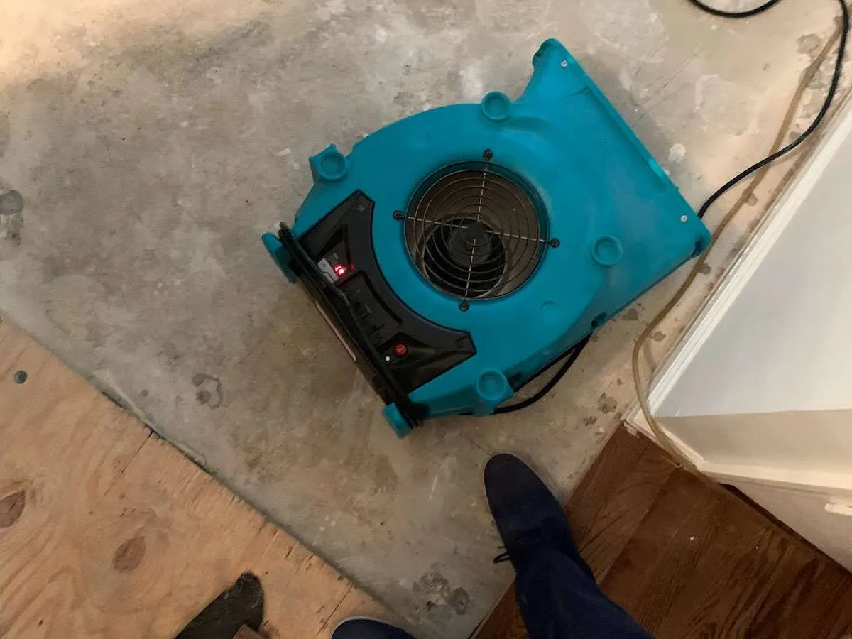 Air mover drying subfloor during Leak Detection & Repair in Pinole